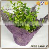 High Quality Paper Mesh Plant Pots Wholesale thumbnail-3