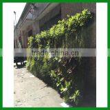 FO-GW018 Outdoor Green Plant Wall for Decor thumbnail-3