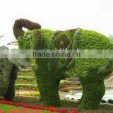 Highly Decorative New Design Artificial Grass Animal Topiary in Wholesale thumbnail-1