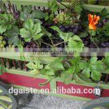 Artificial Plastic Grape Fruit Products Simulated Grape thumbnail-4