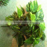 Home and Outdoor Garden Edging Christmas Decoration 60cm or 24inches Height Artificial Small Grass for Green Wall E04 1027 thumbnail-4