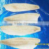 Frozen Herring Fillet IQF Seafood thumbnail-2