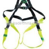 Promotion Security Safety Belt With CE Standard
