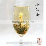 the Latest Product,Nice Gift Flower Blooming Tea ,health Care Green Tea thumbnail-1
