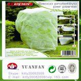 17gsm, uv Resistant Fabric/ Agriculture Non-woven Fabric thumbnail-5