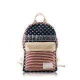 Fashion Canvas Backpack, School Bag, Girl's Bag, Shoulder Bag