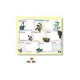 Sell Magnetic Whiteboard thumbnail-1