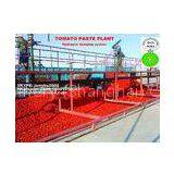 Tomato Paste Plant/tomato Paste Machine/tomato Paste Factorr/tomato Processing Line on Turn-key Solution thumbnail-3