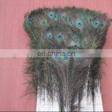 hot selling natural 25-35cm peacock feather