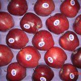 Chinese HuaNiu Apple thumbnail-3