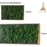 Wholesale Pure Preserved Moss for Indoor Wall Decoration thumbnail-2