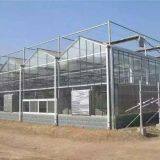 Glass Greenhouse 9.6m/10.8m Multispan Glass Greenhouse thumbnail-1