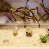 Intelligent Temperature Light Control Reptile Lizard Turtle Hamster Acrylic Breeding Box Ecological Aquarium Tortoise Tank thumbnail-3