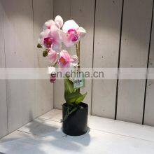 Amazon Hot Sale Beautiful Decorative Realistic Artificial Plastic Fake Orchid Plants for Restaurants thumbnail-3