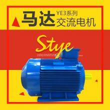 YE3 Series Low-Voltage Motor AC MOTOR thumbnail-4