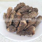 Morel Mushroom and Organic Raw Material thumbnail-2