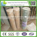 Factory Supply High Quality Hot-dipped Galvanized Welded Wire Mesh Panels and Rolls