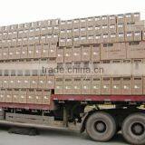 Individual Metal Locker thumbnail-1