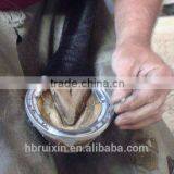 Horseshoe Files With Handle,double-sided,Amphibious