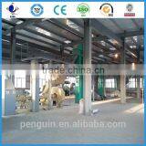 Directly Company Palm Oil Fruit Processing Equipment