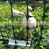 Heavy Duty Deer Pheasant Chicken Garden Black Netting Fencing Mesh thumbnail-4