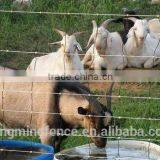 Sheep Wire Mesh Fence Hot Sale