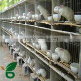 2015 The Most Popular Rabbit Cage Manufacturer thumbnail-1