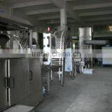 Automatic Wafer Biscuit Machine Supplier