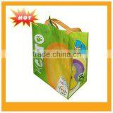 Pet Non Woven Bag