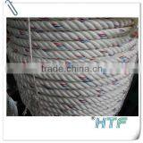 POLYPROPYLENE DANLINE ROPE FOR MARINE ROPE thumbnail-2
