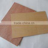 One Time Finished Poplar/Eucalyptus Film Faced Plywood thumbnail-6