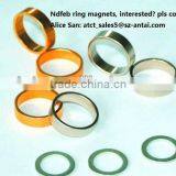 Diametrically Ndfeb Radial Large Ring Magnets for Sale