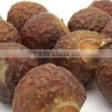 High Quality Best Price Of First Grade Soapnut Seeds Exporter/Importer/Supplier From Tamilnadu/Chennai