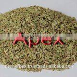 Dried Fennel Seed