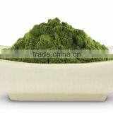 ISO Certified Moringa Leaf Powder At Best Price Pure Moringa Herbal Powder