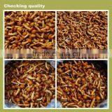 to Make Tin,Canned Mushroom Food thumbnail-1