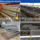 nipple drinker system for chicken/water nipple system/china drinker nipple