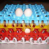 PP High Quality Egg Tray For Poultry