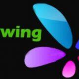Shenzhen Skywing CO., Limited