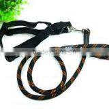 Strong Nylon Dog Harness With Leash Attached thumbnail-5