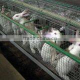 Stainless Steel Rabbit Cage thumbnail-1