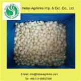 Frozen IQF Garlic Cloves thumbnail-1