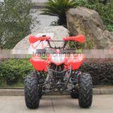 (JLA-07-05)2017 Zhejiang Jinling Atv 110cc Mini Atv for Sale thumbnail-3