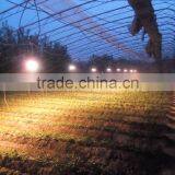 High PPFD Imitate Sunshine 100w Full Spectrum Led Grow Light thumbnail-5