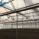BaoLiDa multi-span poly carbonate PC agriculture commercial greenhouse