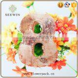 White Birch is Used for the Number of Child Recognition thumbnail-6