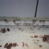 Brand Name High Quality Artificial Real Touch Bark PU Tree Skin thumbnail-2