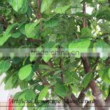 Wholesale Decorative Artificial Orange Tree,fiberglass Artificial Orange Tree thumbnail-2