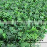 Artificial Boxwood Carpet ,fake Green Hedge Boxwood Mat thumbnail-4
