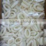 2 Years Shelf Life Frozen Squid Ring thumbnail-1